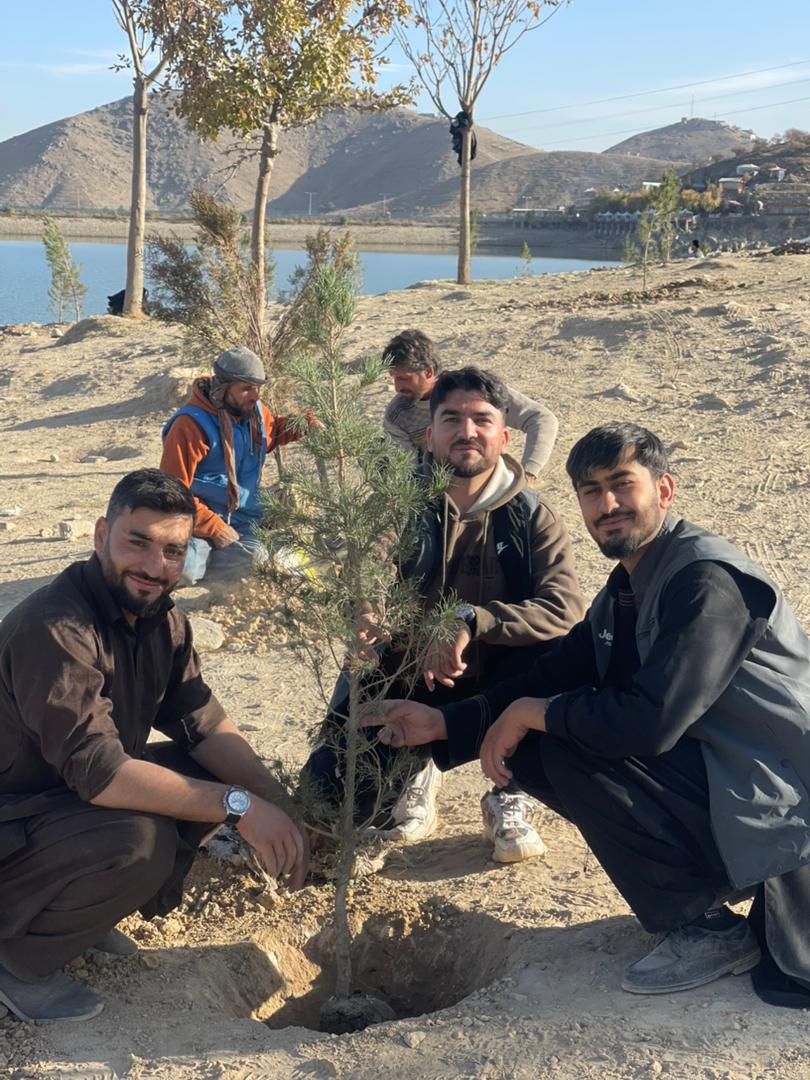 The rugged, sun-drenched hills surrounding Kabul with new saplings