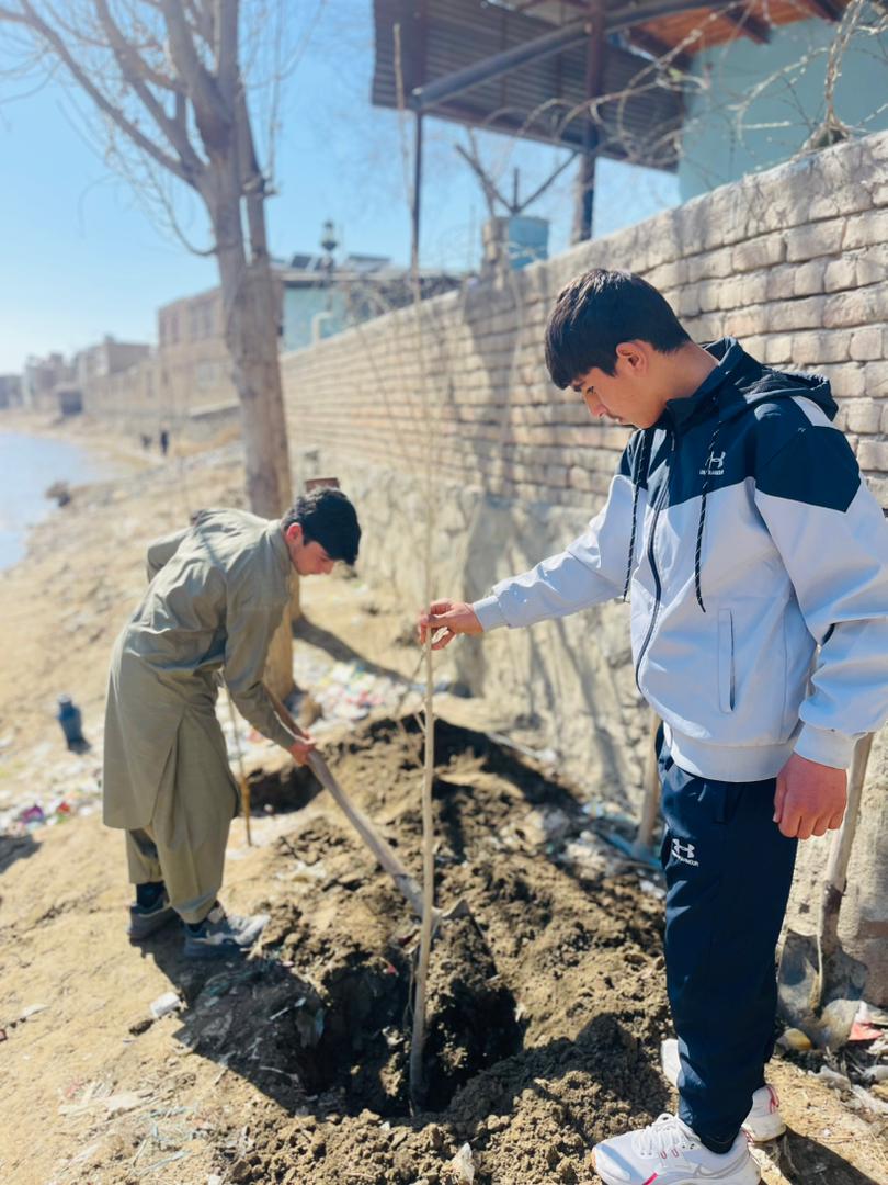 Community effort