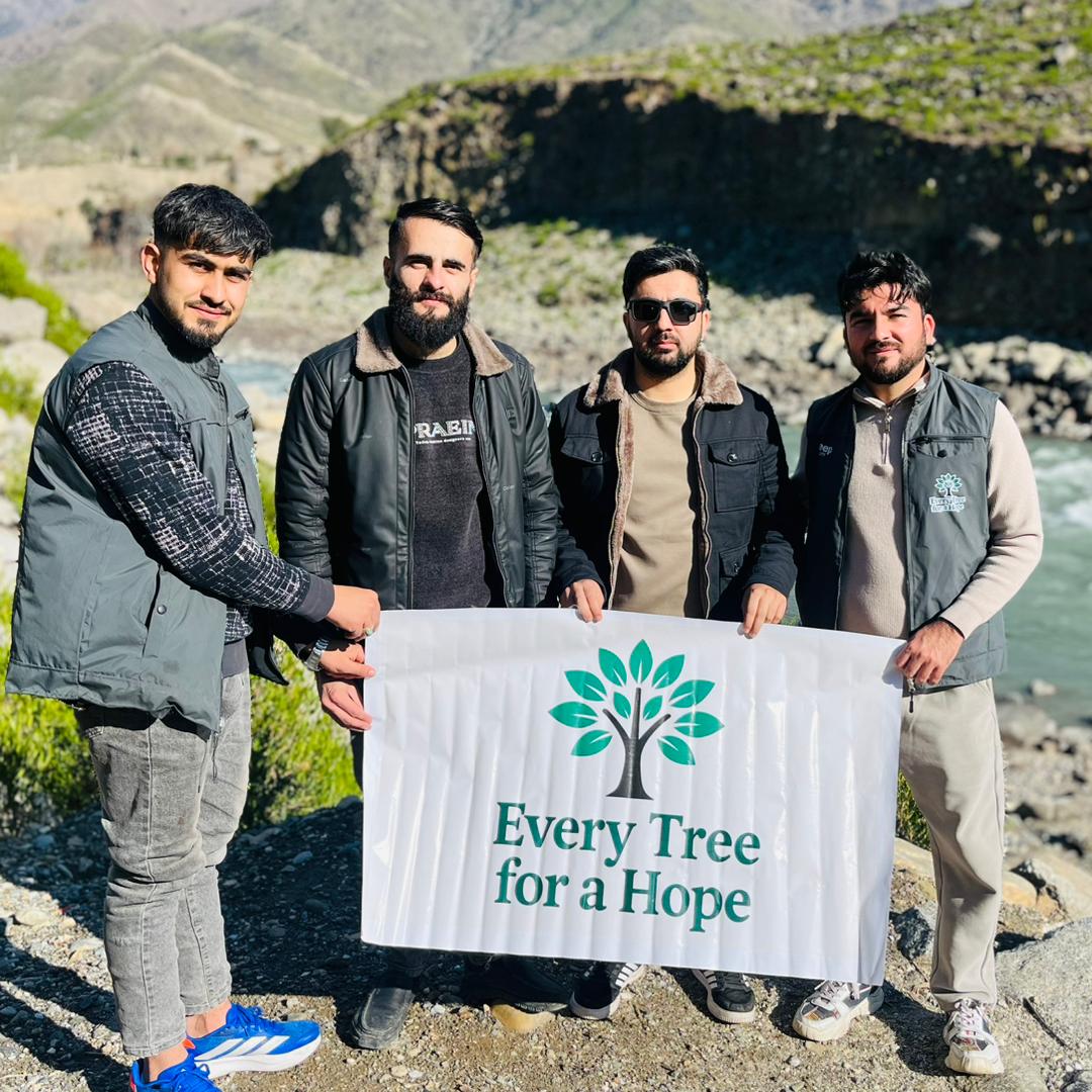 Planting drought-tolerant trees in the hills surrounding Kabul